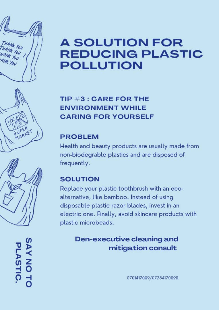 Den Executive Cleaning promotional flier